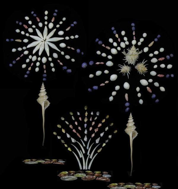 Hanabi Fireworks
